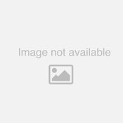 DCCACC027: Collet for Stud Welding Attachment